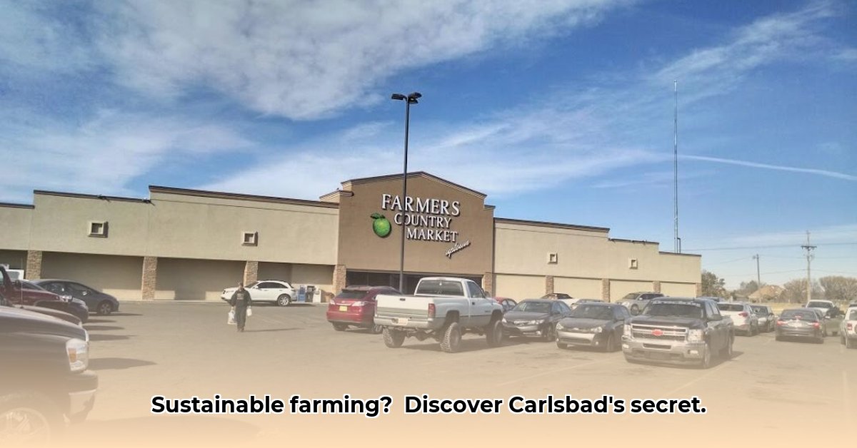 tractor-supply-carlsbad-new-mexico